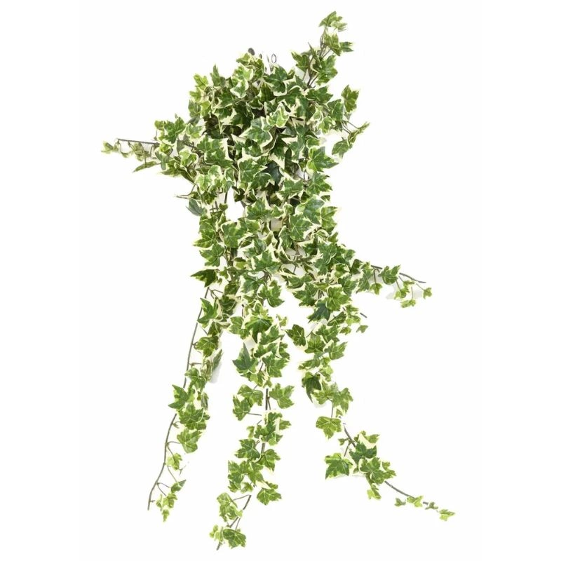 ENREDADERA HOLLAND 80cm VERDE
