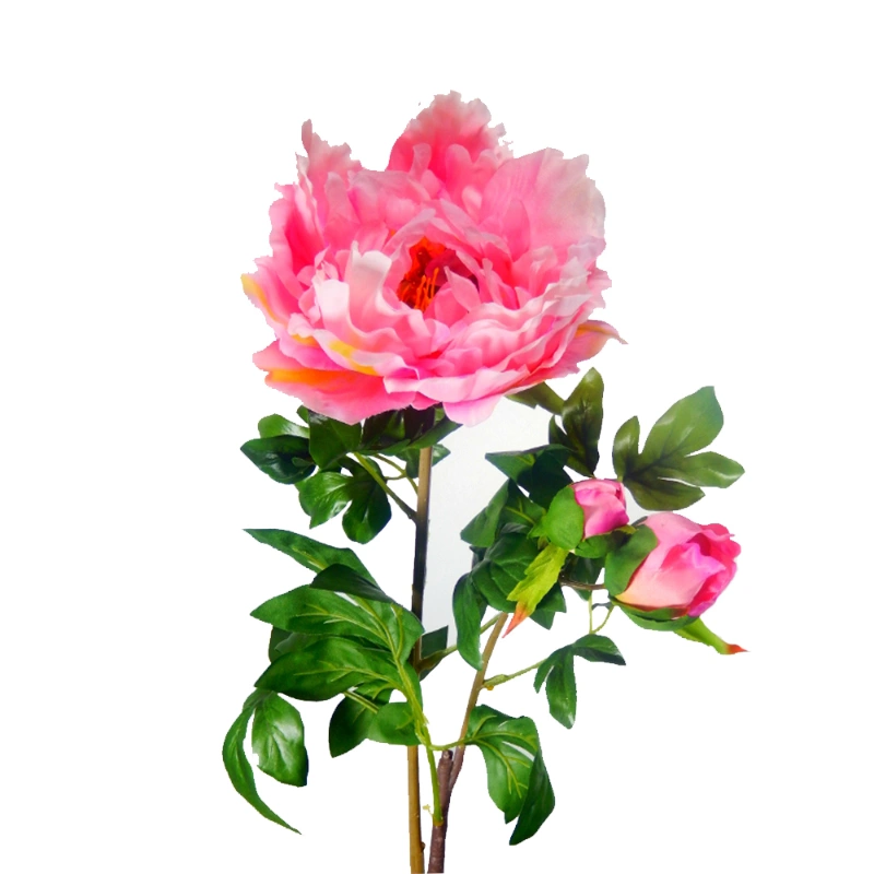 PEONIA GIGANTE 97,5cm ROSADO