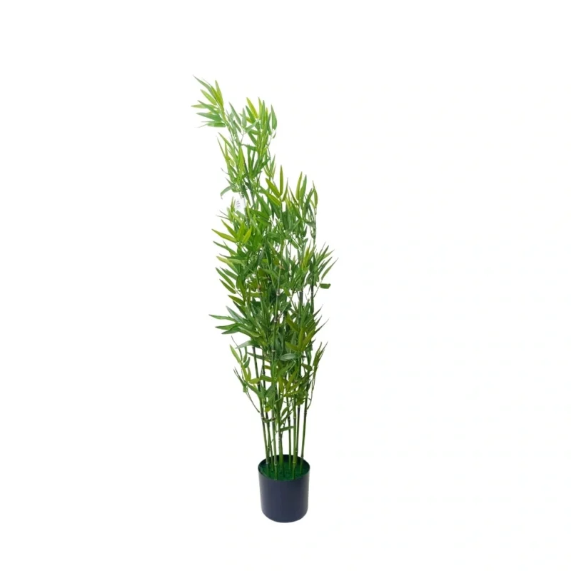 PLANTA BAMBOO 1,22mts VERDE
