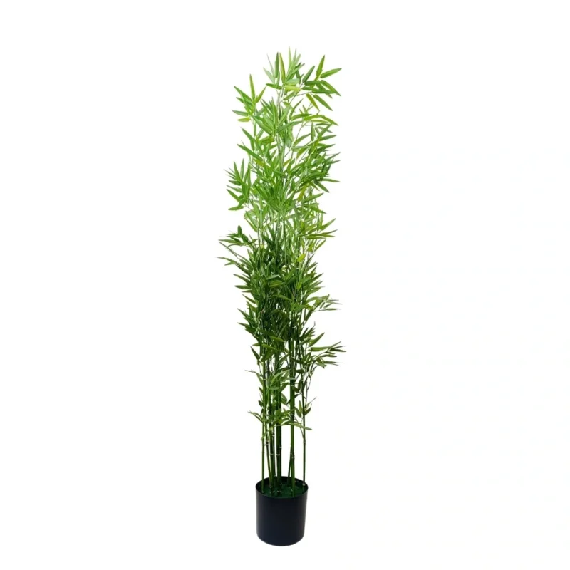 PLANTA BAMBOO 1,53mts VERDE