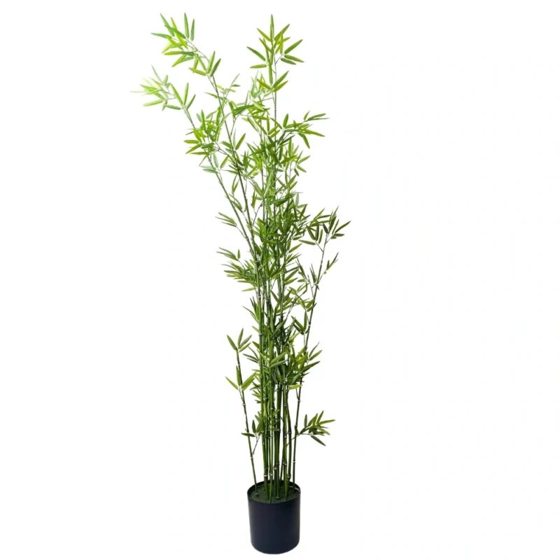 PLANTA BAMBOO 1,83mts VERDE