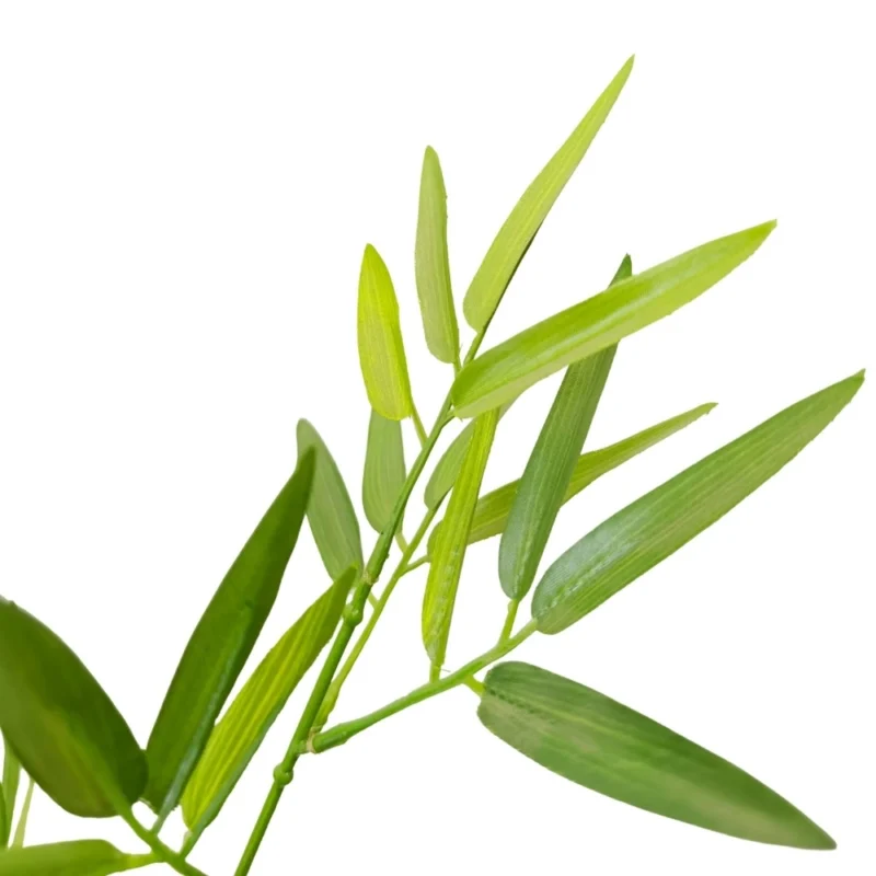 PLANTA BAMBOO 1,83mts VERDE