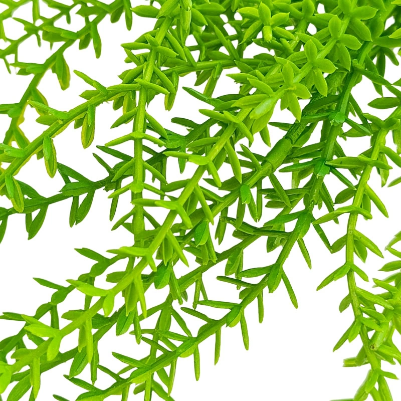 HELECHO COLGANTE 84cm VERDE
