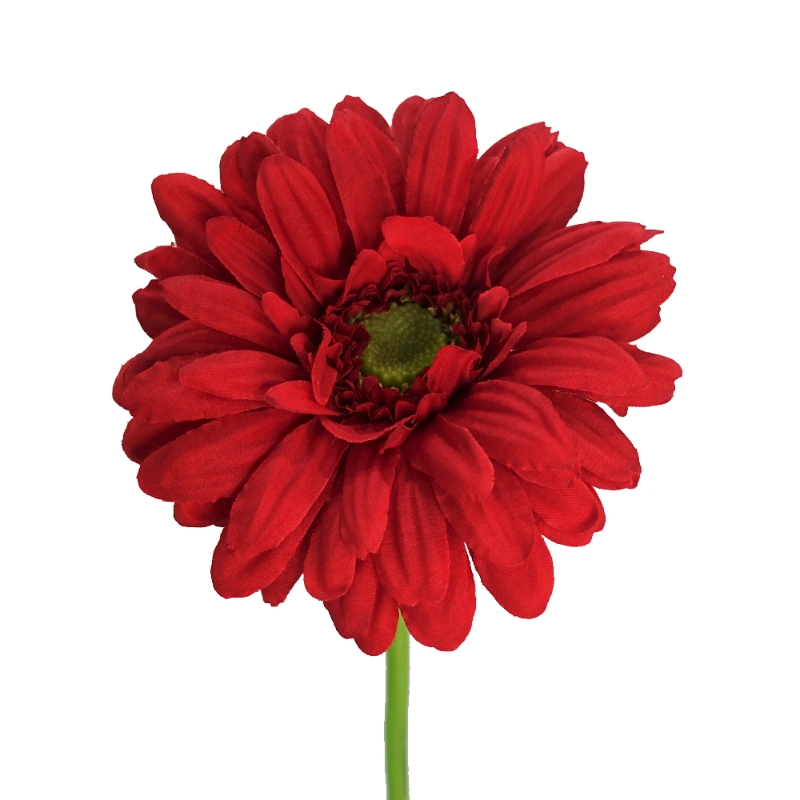 GERBERA EMA 62cm ROJO