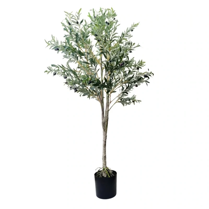 PLANTA OLIVO 1,65m VERDE