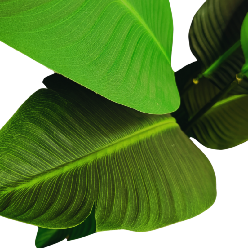 Palmera Artificial Traveller 1,2m