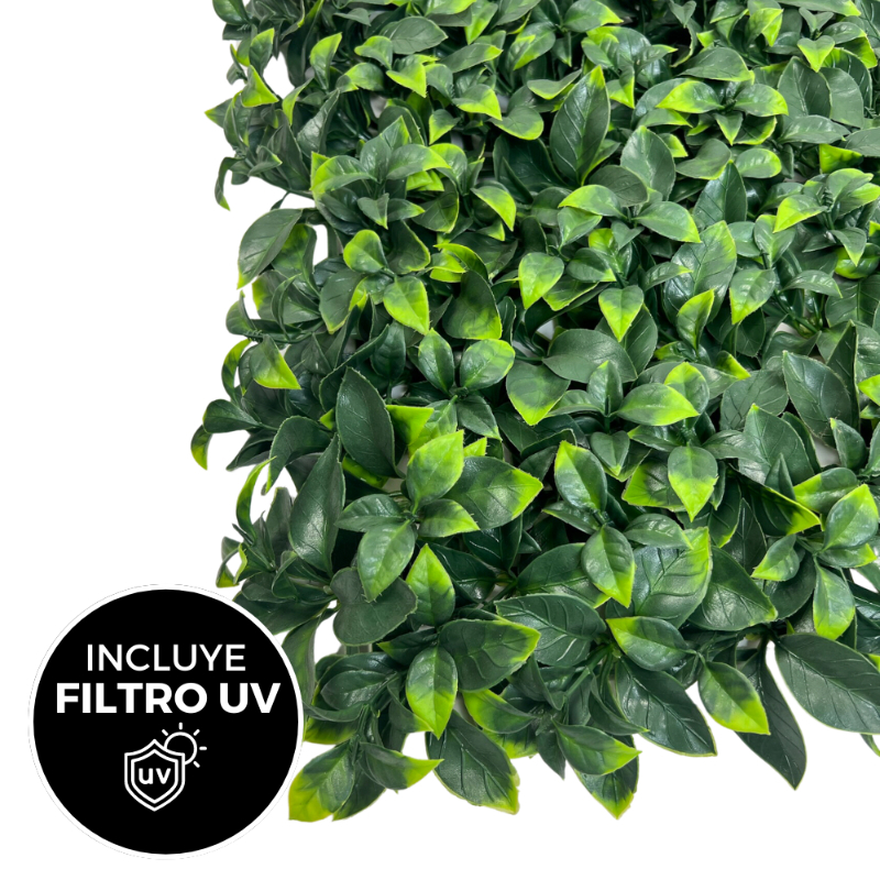 PALMETA RUSCUS VERDE UV 50X50CM