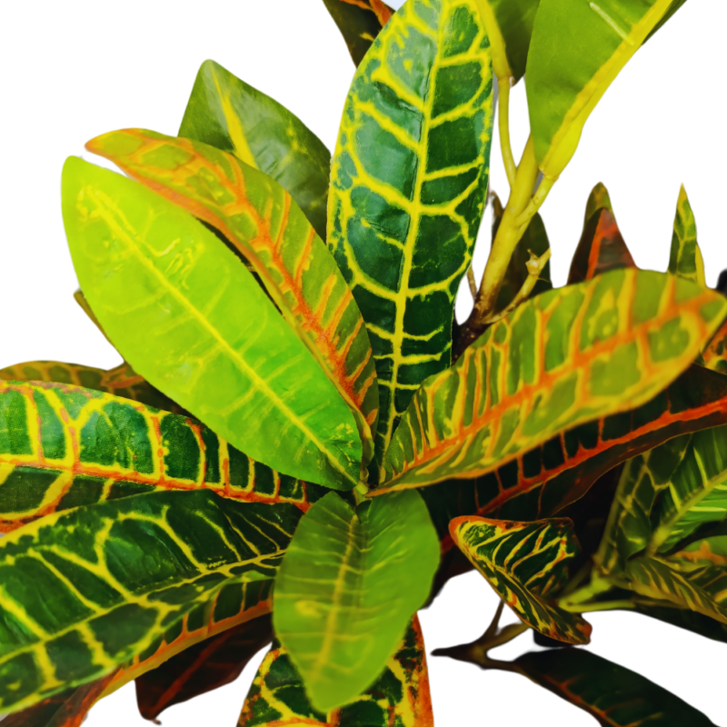 Planta Artificial Crotón 80cm