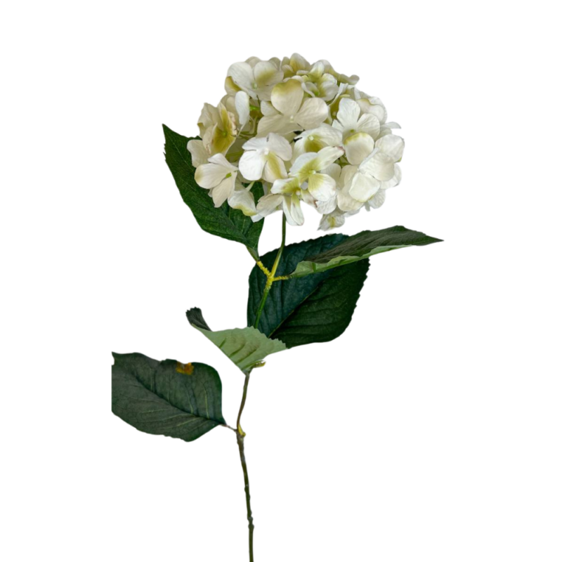 HORTENSIA 76cm BLANCO
