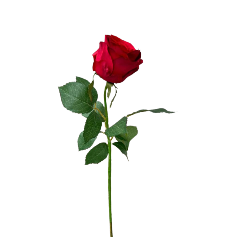 ROSA 70cm ROJO