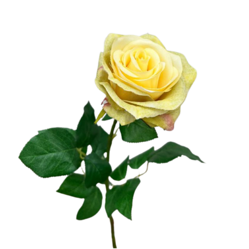 ROSA 70cm AMARILLO