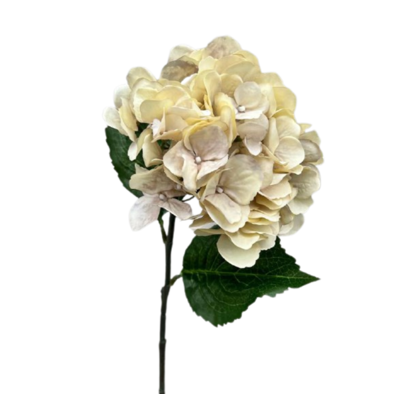 HORTENSIA 67cm CREMA