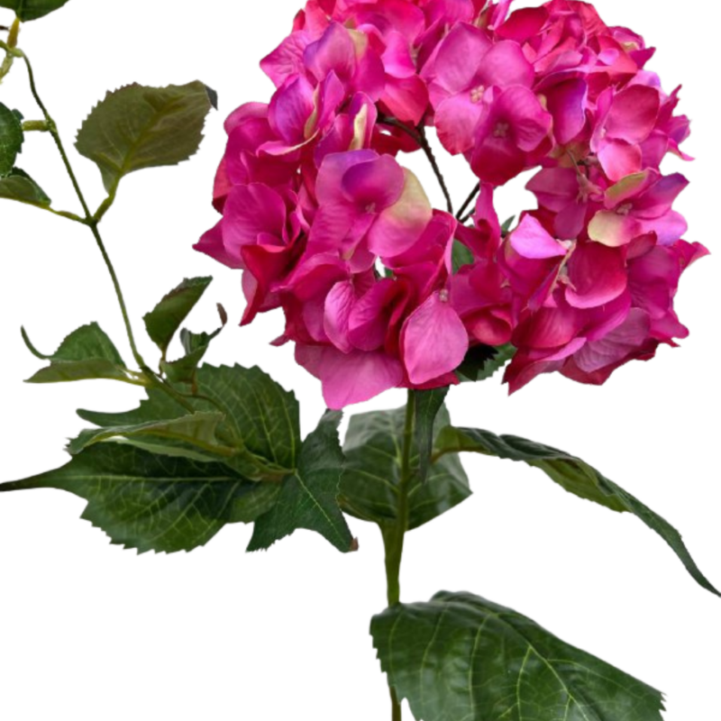 HORTENSIA 86cm FUCSIA