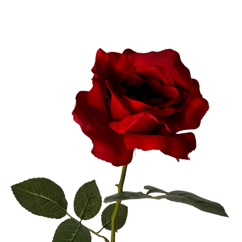 ROSA SP 58CM ROJO INTENSO