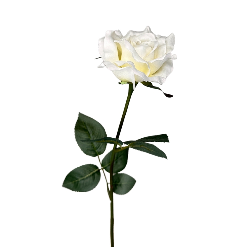 ROSA SP 58CM CREMA
