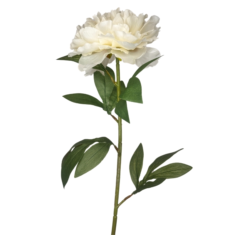 PEONIA PEARL 68cm CREMA