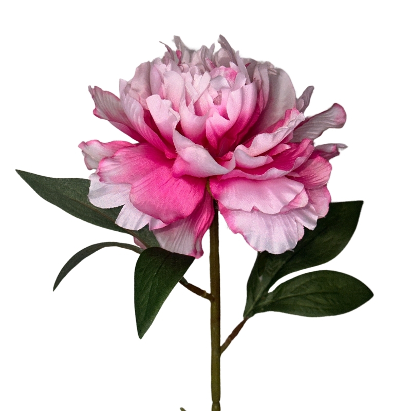 PEONIA PEARL 68cm ROSADO