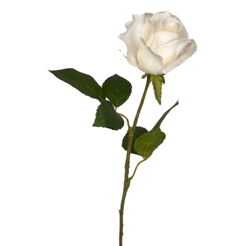 ROSA BOTON 55cm CREMA
