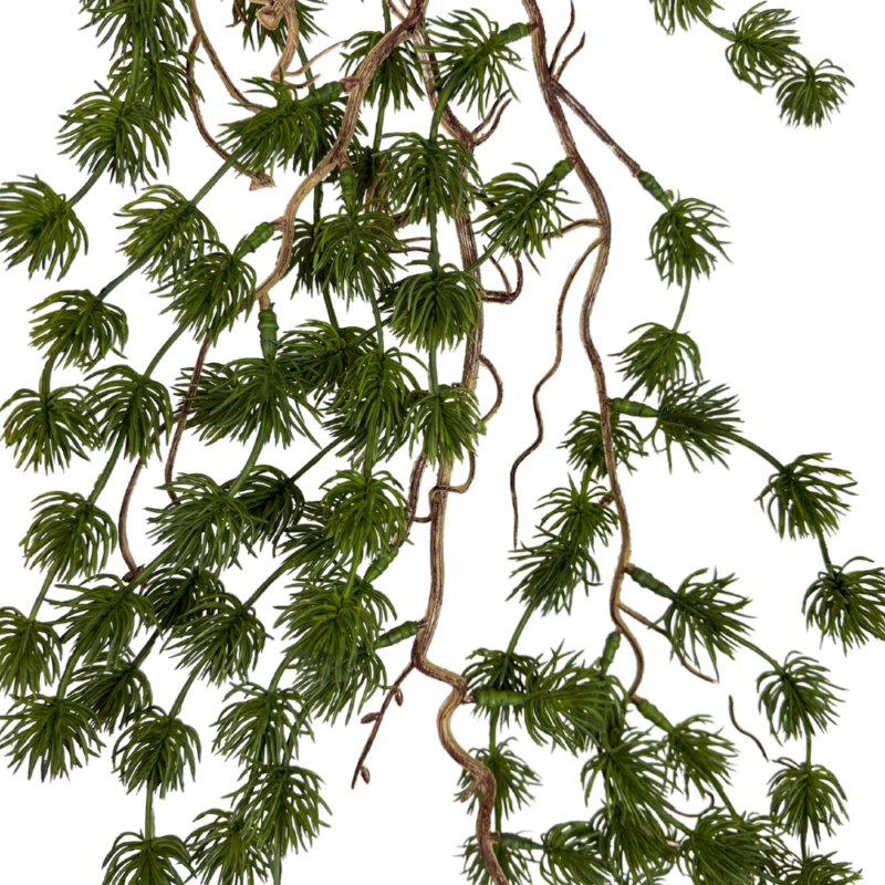 ENREDADERA PINUS 100cm VERDE