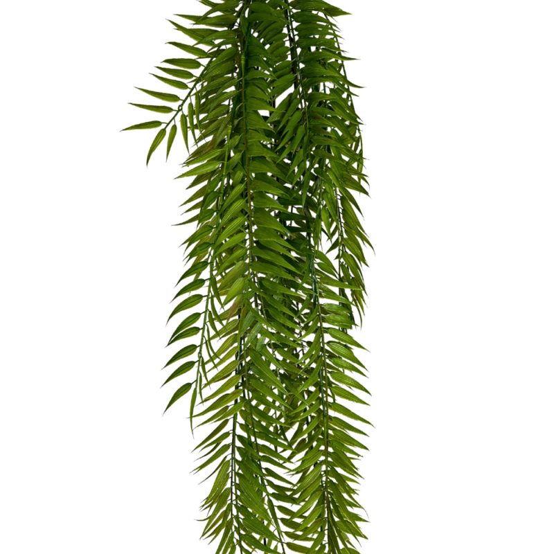 ENREDADERA HELECHO PEINETA 120cm VERDE