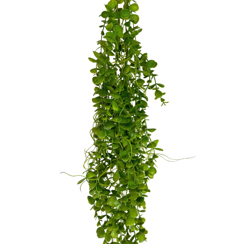 ENREDADERA DOLLAR 98cm VERDE