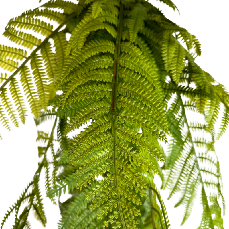 ENREDADERA HELECHO 95cm VERDE