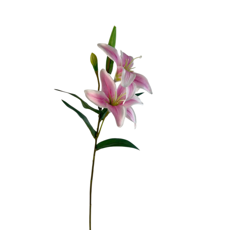 LILLY 60CM ROSADO