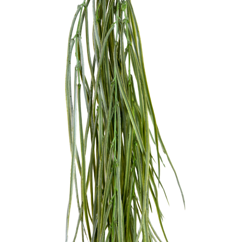 ENREDADERA PASTOS 107cm VERDE CLARO