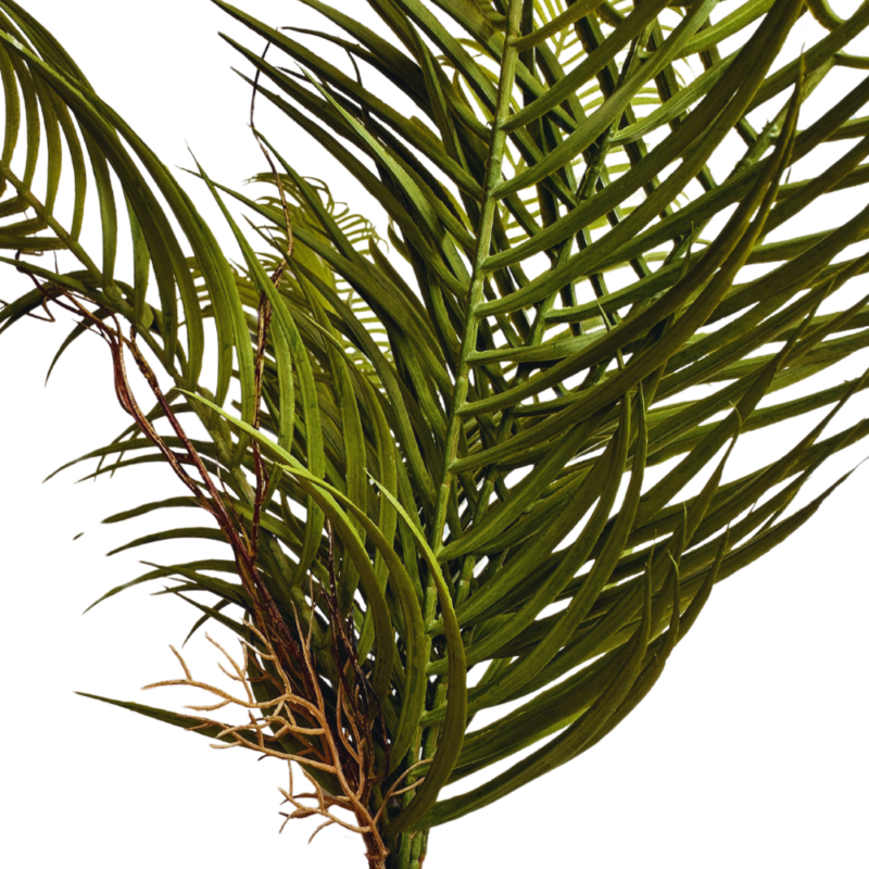 RAMA ARECA 74cm VERDE