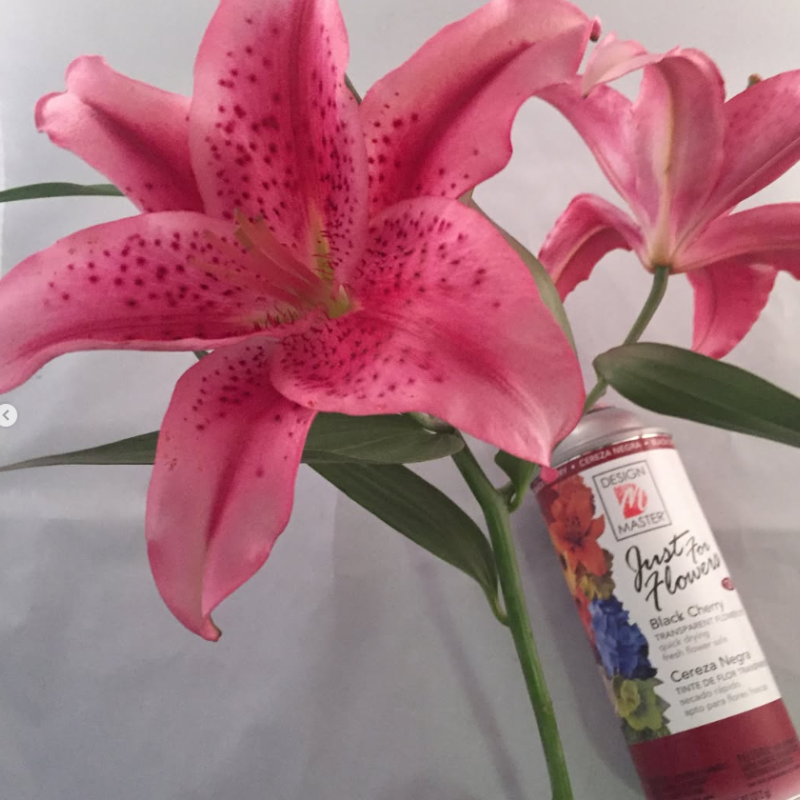 JUST FOR FLOWERS BLACK CHERRY