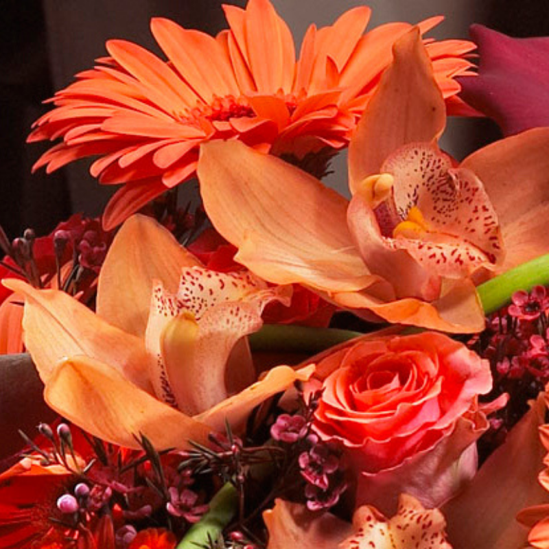 JUST FOR FLOWERS TIGER LILY