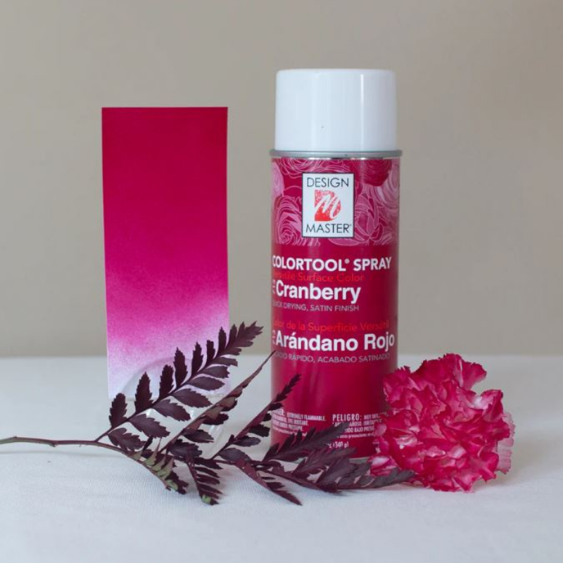 SPRAY COLORTOOL CRANBERRY