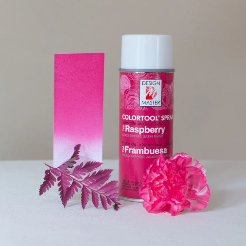 SPRAY COLORTOOL RASPBERRY