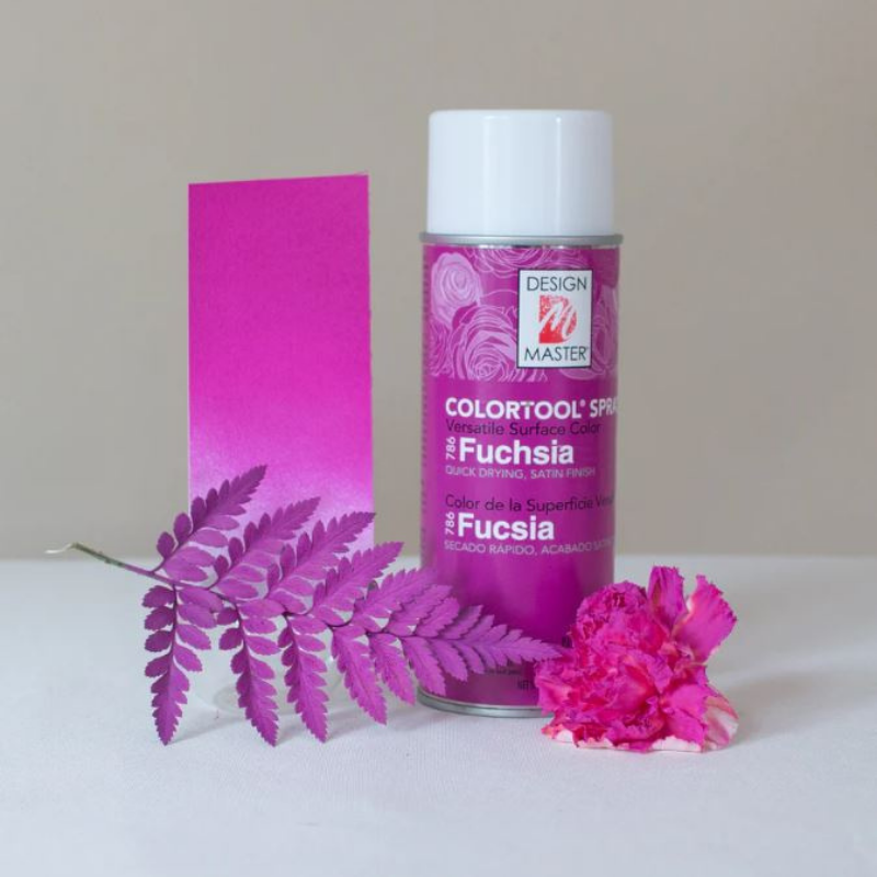 SPRAY COLORTOOL FUCHSIA