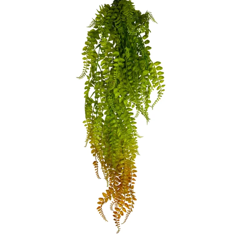 ENREDADERA PEINETA 89cm VARIEGADO