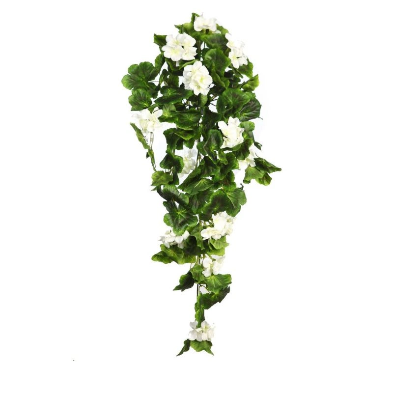 ENREDADERA CARDENAL 80cm BLANCO