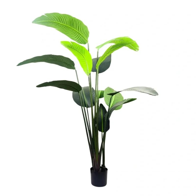 PLANTA PALMERA TRAVELLER 1,87m