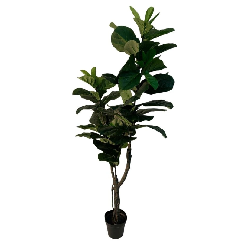 Ficus Lyrata Artificial Grande 1,75m