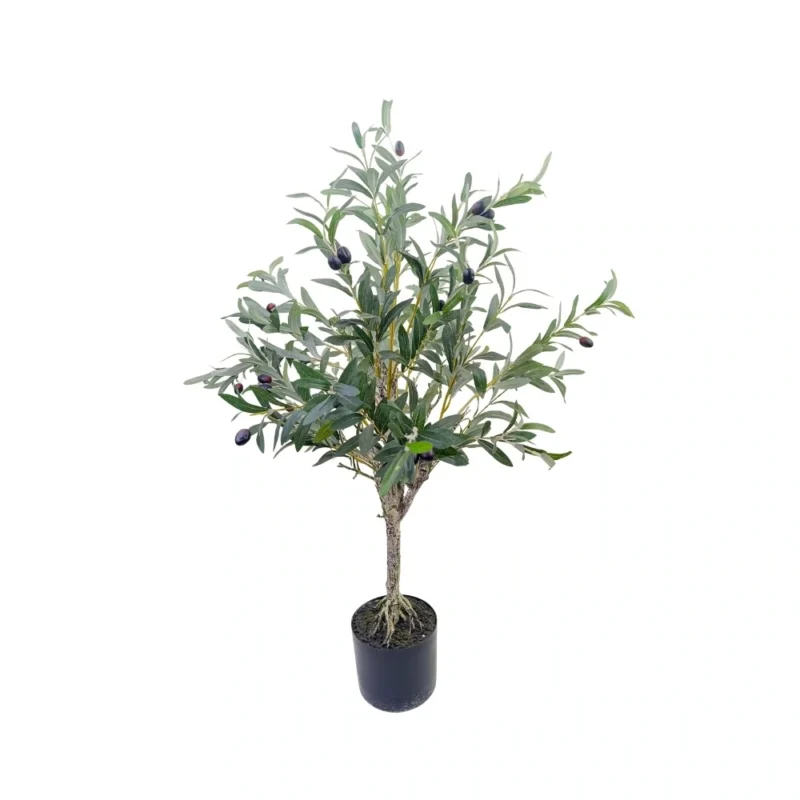 PLANTA OLIVOS 1m