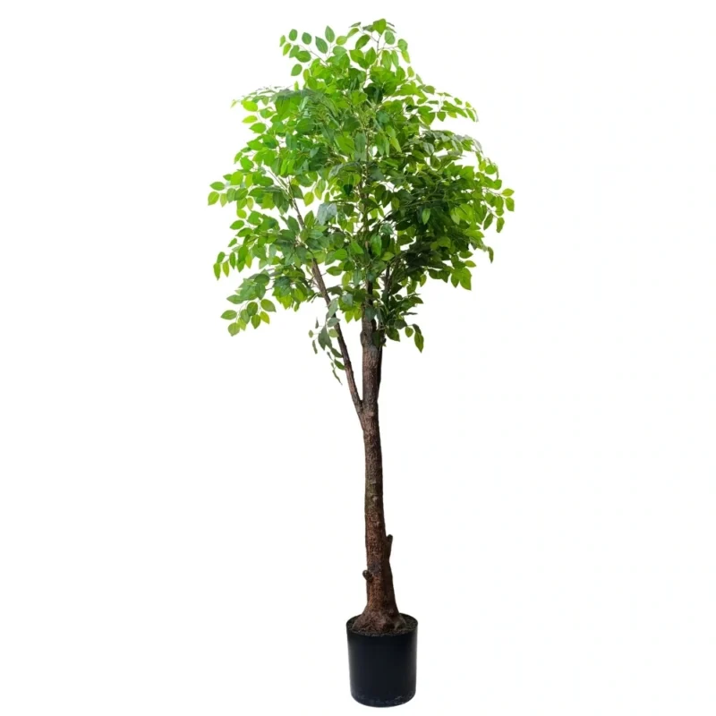 PLANTA FICUS 1,9m VERDE