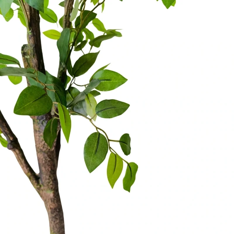 PLANTA FICUS 1,9m VERDE