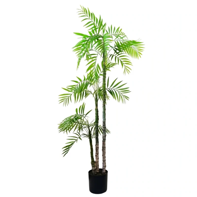 PLANTA PALMERA ARECA 1,6m VERDE
