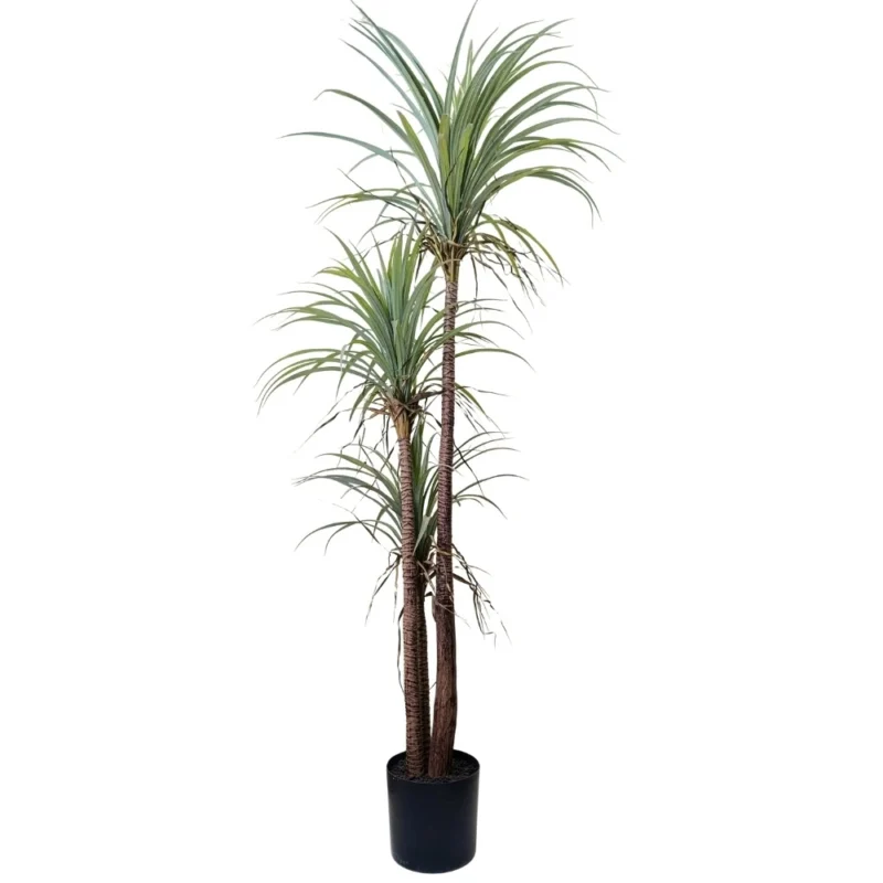 PLANTA YUCA 1,8m VERDE