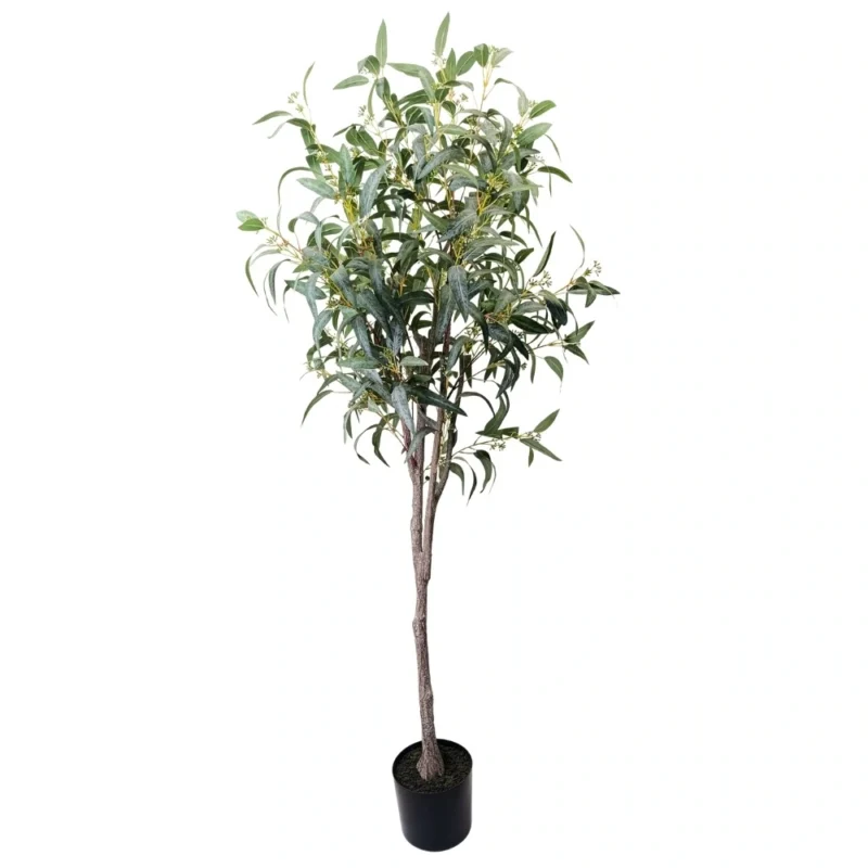 PLANTA EUCALIPTO 1,8m VERDE