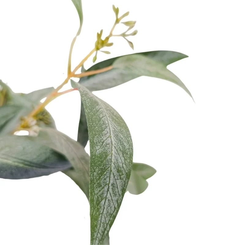 PLANTA EUCALIPTO 1,8m VERDE