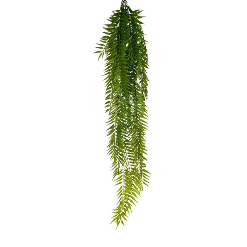 ENREDADERA HELECHO PEINETA 120cm VERDE