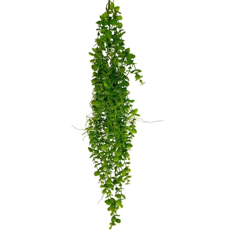 ENREDADERA DOLLAR 98cm VERDE