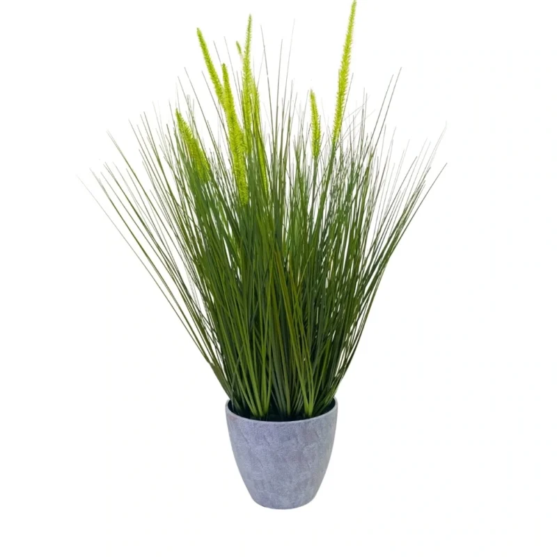 PLANTA PASTO CEBOLLA 76cm VERDE