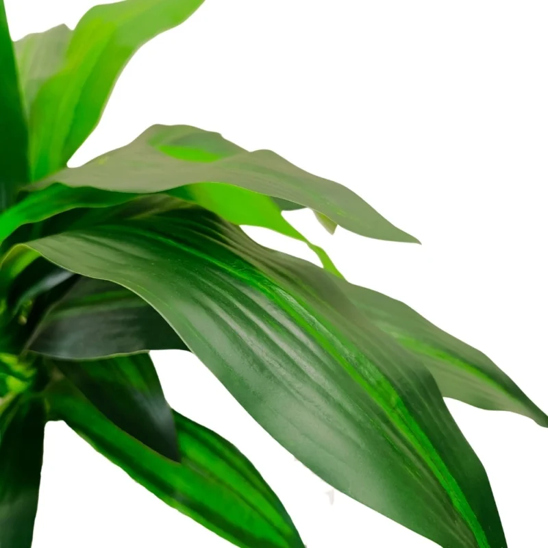 PLANTA DRACAENA 1,8m VERDE