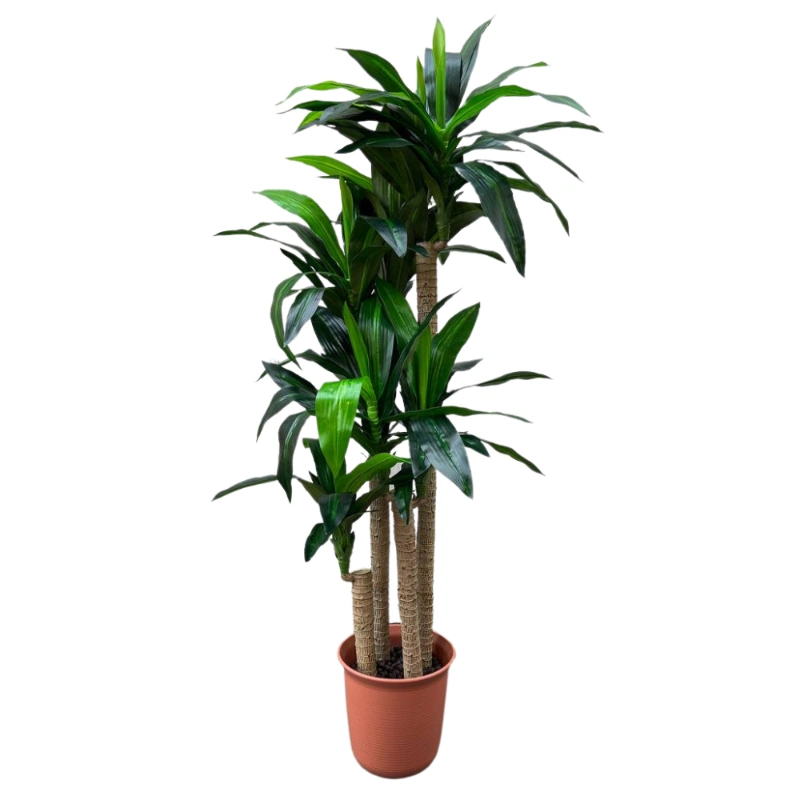Planta Artificial Grande Dracaena 1,8m